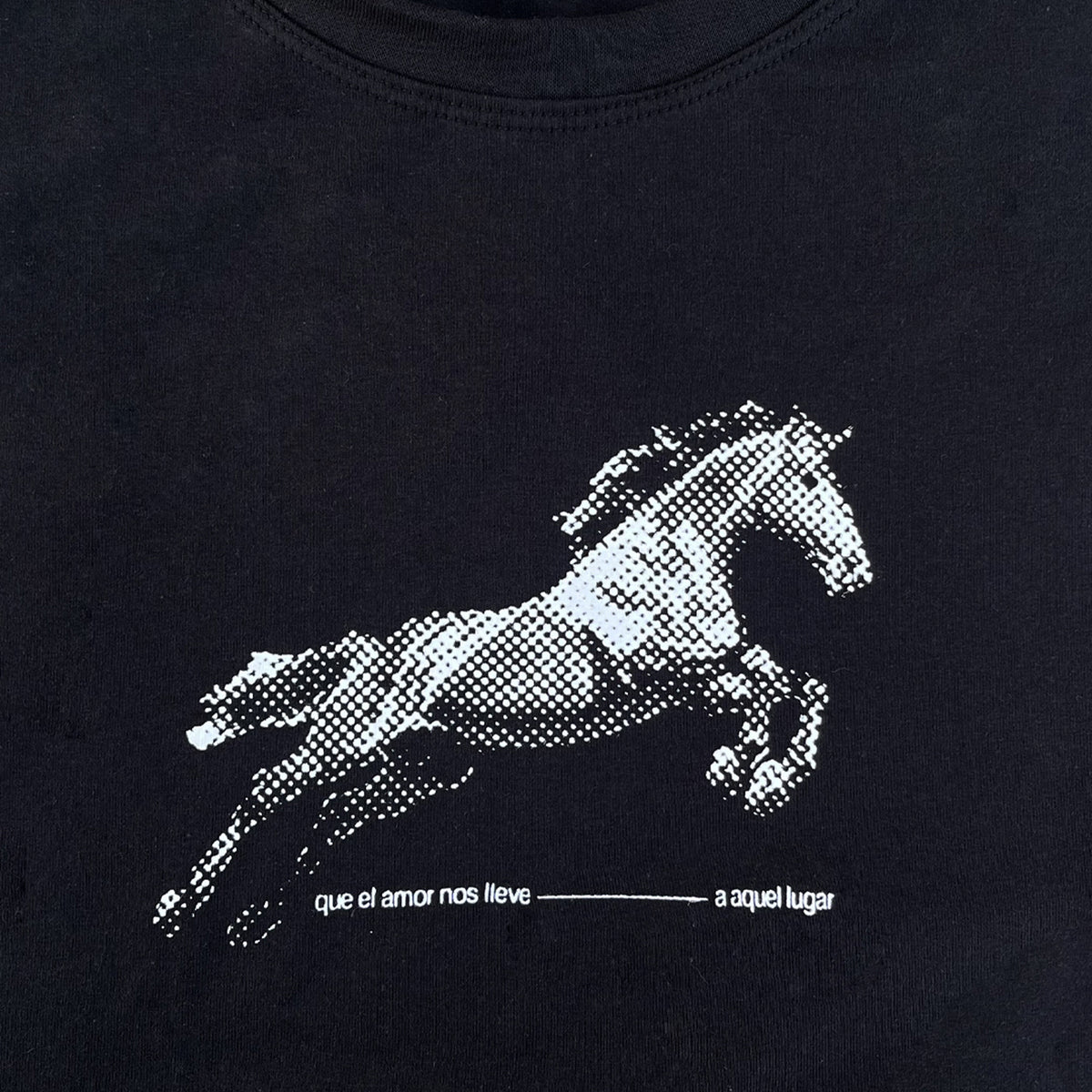 REMERA "AQUEL LUGAR"